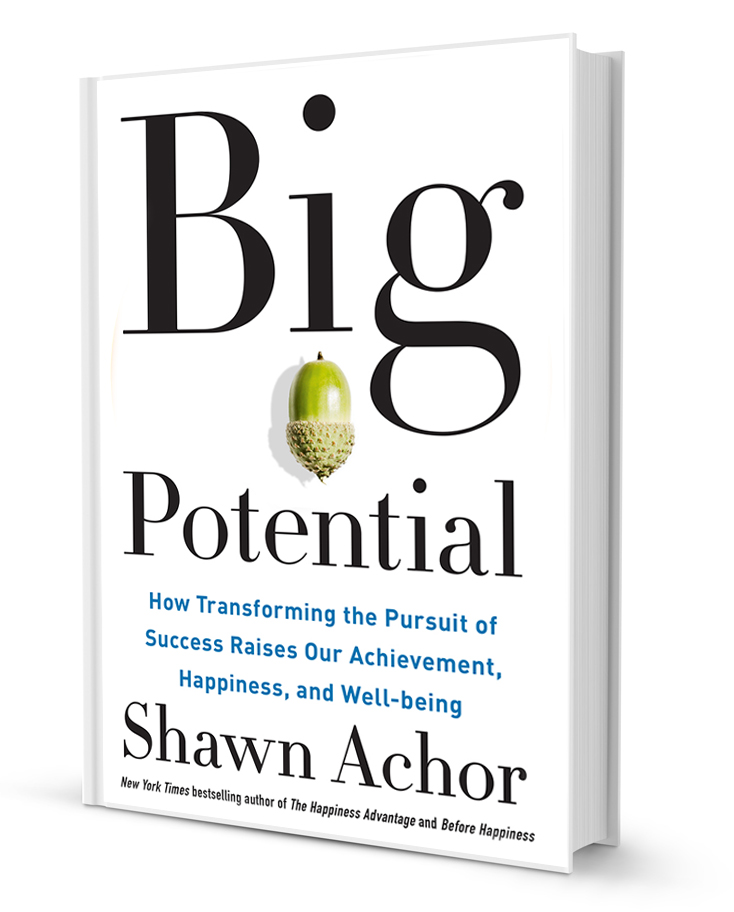 Big Potential-3d-book
